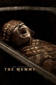 Momiyayi